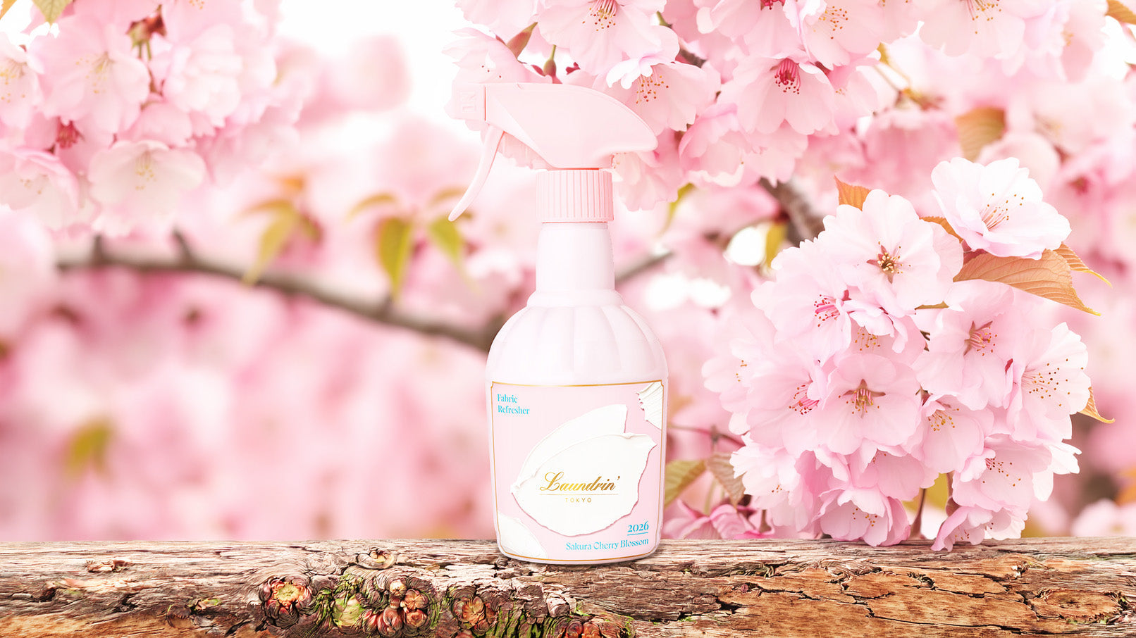 Why It Matters — A Closer Look at What’s Inside